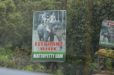 Mattupatty Dam, Elephant Ride_DSC5877_H600